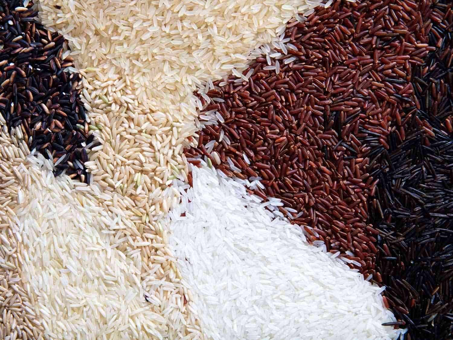 Specialty and Aromatic Rice Varieties