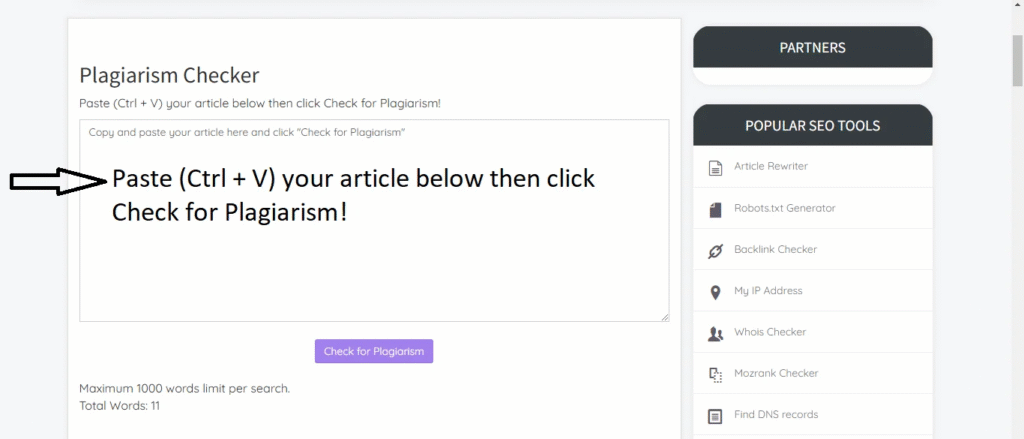 Bingo Web Rabbit Interface